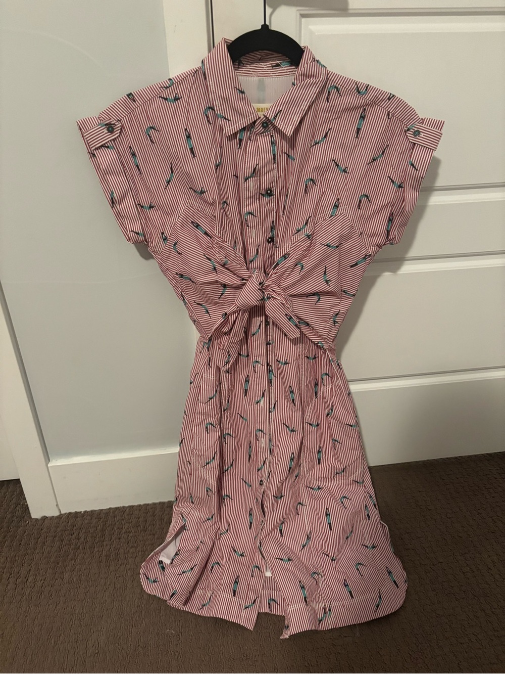 Striped Pink Shirt Dress with Swimmer Print